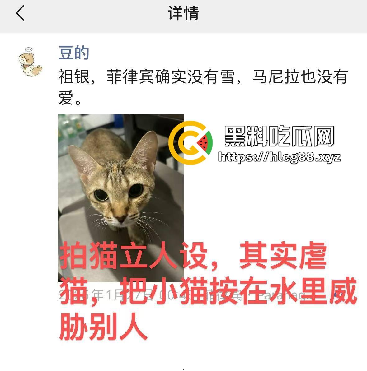 圣彼得堡留学生『豆豆』800一炮,金主老婆捉奸打烂逼,还偷表虐猫跑路!