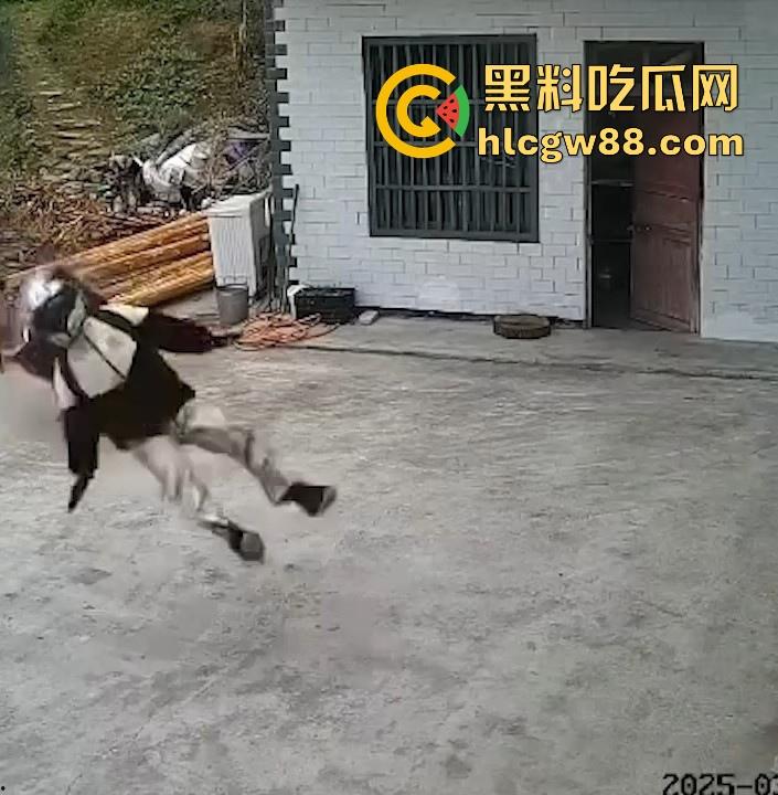 没煮你饭啊!你怎么就怎么就这么自来熟呀?飞车党直飞大爷家 坐等开饭 只见其车不见其人。