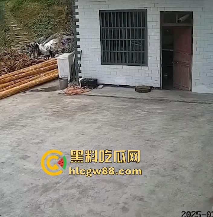 没煮你饭啊!你怎么就怎么就这么自来熟呀?飞车党直飞大爷家 坐等开饭 只见其车不见其人。