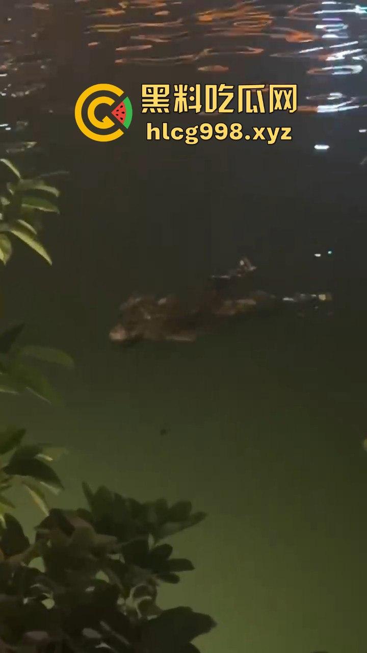 瓜友爆料!成都兰桂坊门口河里惊现浮尸,场面诡异引发热议!