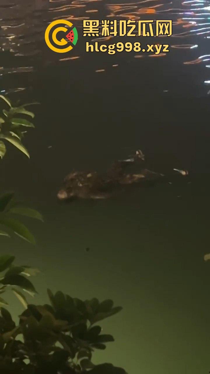 瓜友爆料!成都兰桂坊门口河里惊现浮尸,场面诡异引发热议!