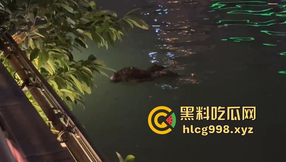 瓜友爆料!成都兰桂坊门口河里惊现浮尸,场面诡异引发热议!