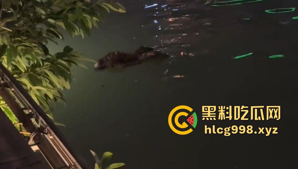 瓜友爆料!成都兰桂坊门口河里惊现浮尸,场面诡异引发热议!