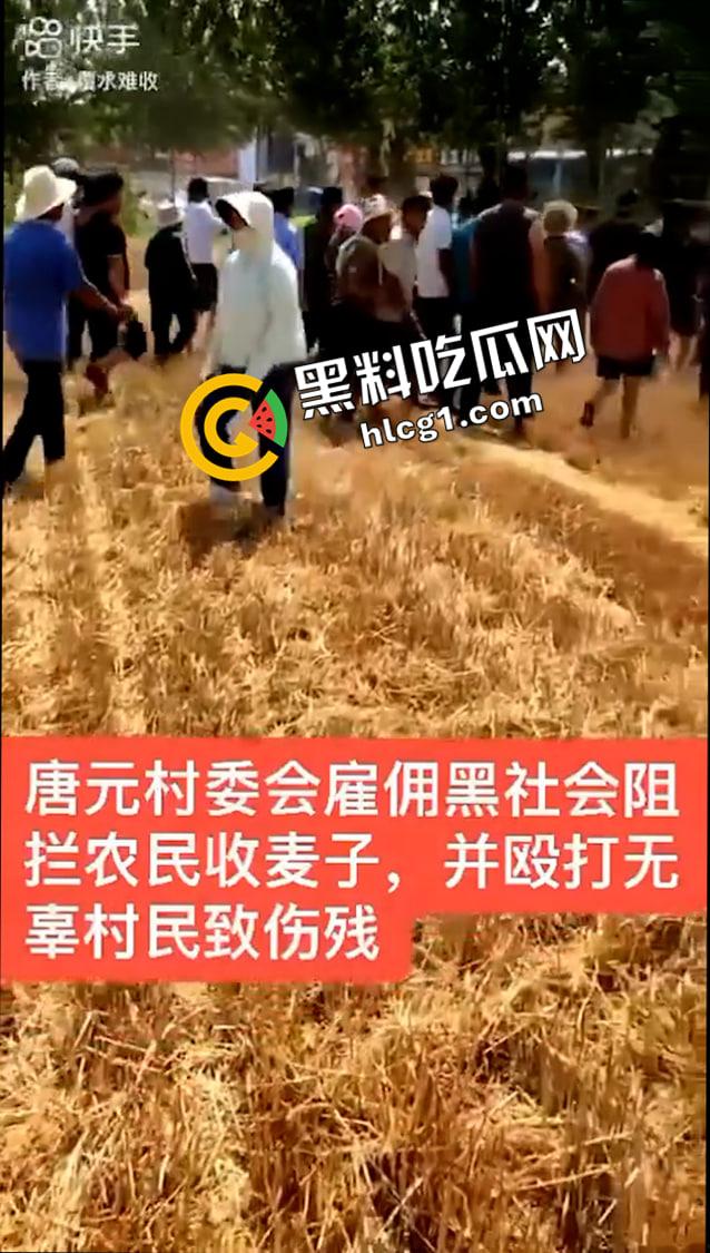 山东聊城 唐元镇村委会雇佣社会人员殴打村民 警察在一旁毫无作为 抖音删帖原视频