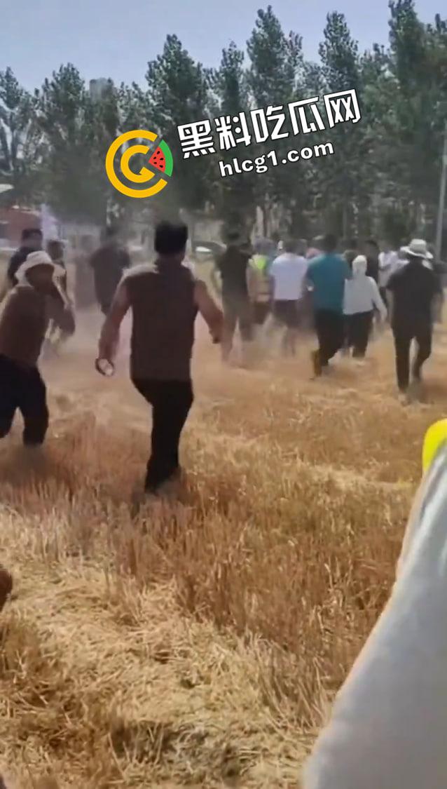 山东聊城 唐元镇村委会雇佣社会人员殴打村民 警察在一旁毫无作为 抖音删帖原视频