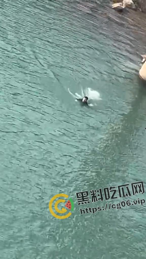 四川南充男子跳水勇救轻生女子 最终女子获救 男子因江水湍急体力不支 丧命于此 现场打捞视频曝光