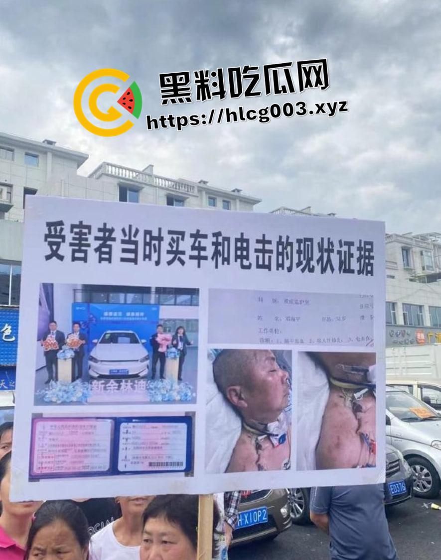 比亚迪车内被电击第一视角！简直就是电车版杨永信  微博抖音被删除视频完整版