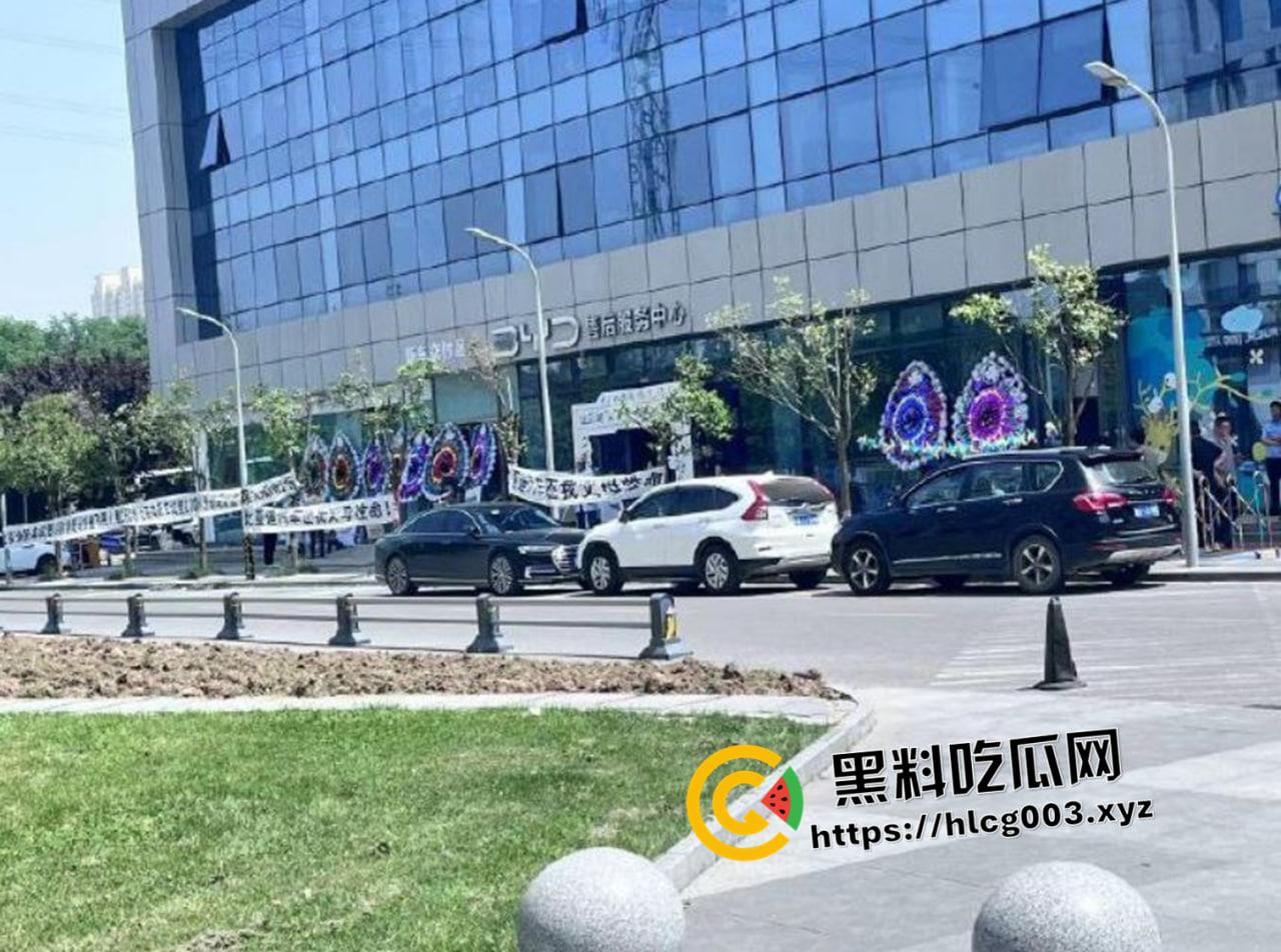 比亚迪车内被电击第一视角!简直就是电车版杨永信 微博抖音被删除视频完整版