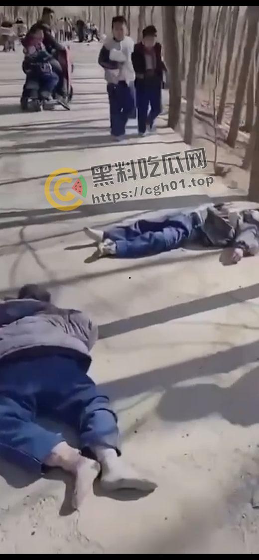 山东德州残疾人酒驾撞死学生 尸体遍地 死亡数十人 现场血腥画面曝光