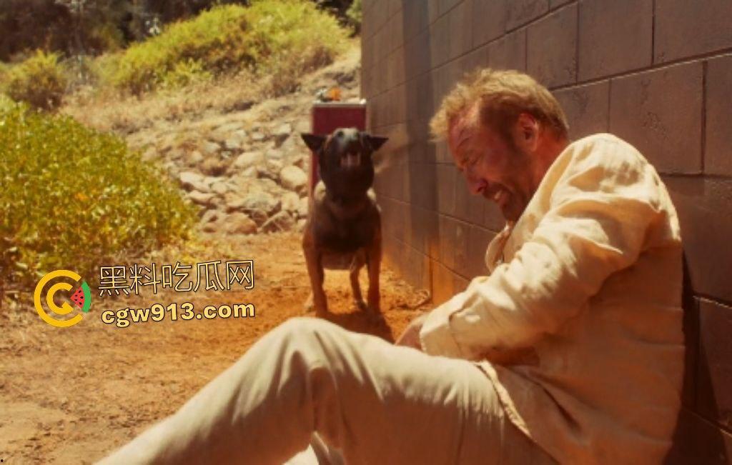 2025惊悚大片【冲浪惊魂】,澳洲海滩凯奇父子遭冲浪黑帮羞辱,凯奇怒火焚天,誓要沙滩所有权!