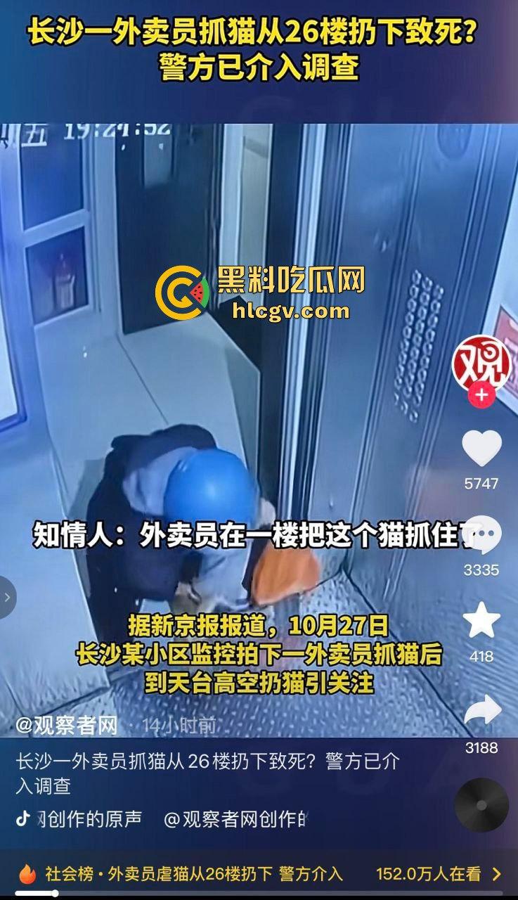 长沙外卖员丧心病狂虐猫！抓猫从26楼扔下当场摔死！