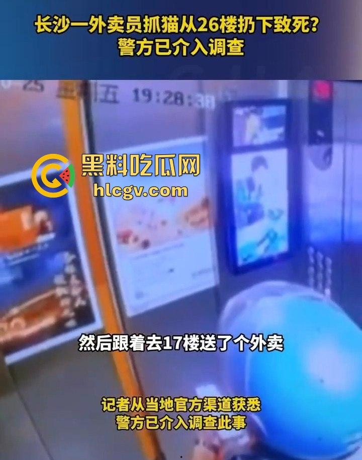 长沙外卖员丧心病狂虐猫!抓猫从26楼扔下当场摔死!