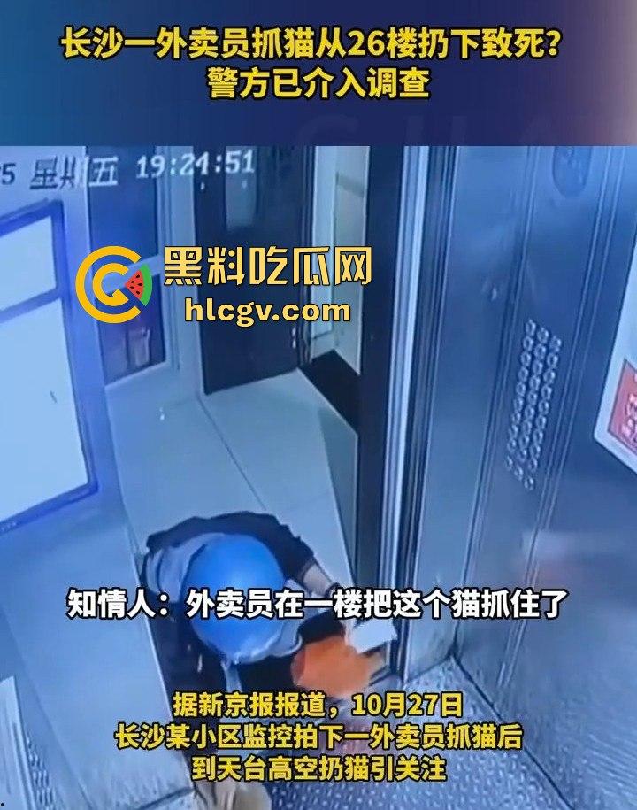 长沙外卖员丧心病狂虐猫!抓猫从26楼扔下当场摔死!