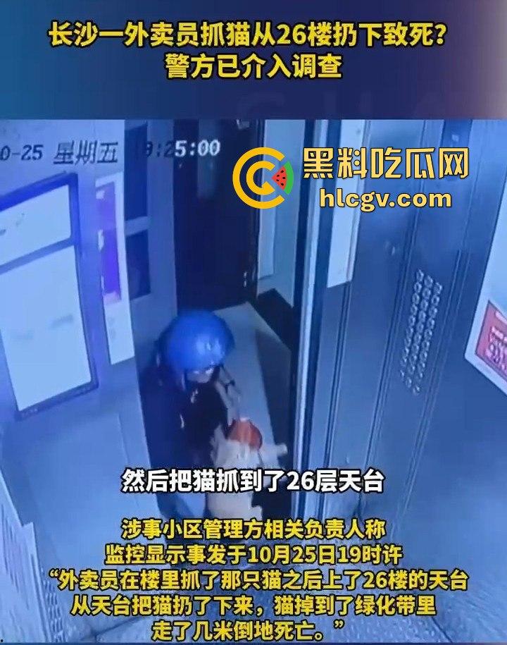长沙外卖员丧心病狂虐猫!抓猫从26楼扔下当场摔死!