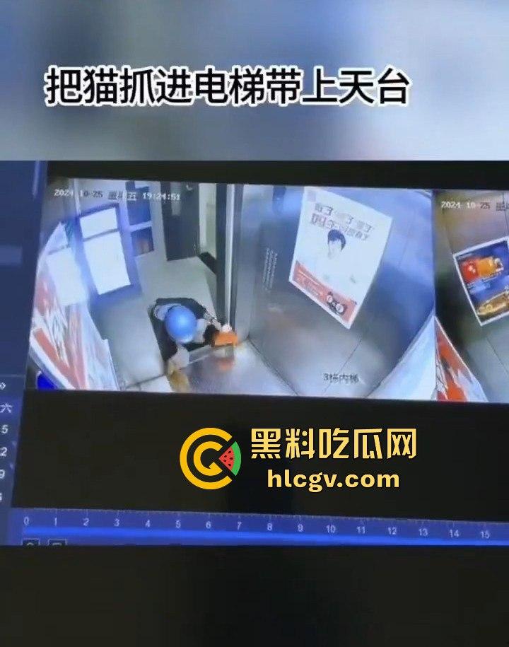 长沙外卖员丧心病狂虐猫!抓猫从26楼扔下当场摔死!