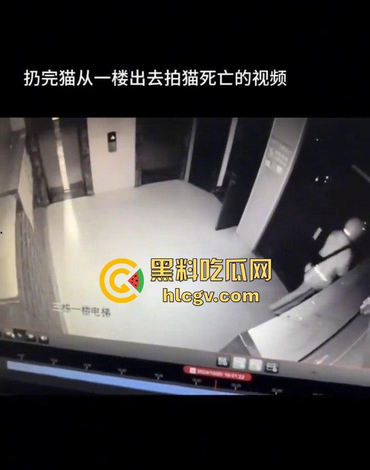 长沙外卖员丧心病狂虐猫!抓猫从26楼扔下当场摔死!