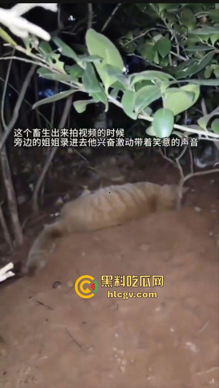 长沙外卖员丧心病狂虐猫!抓猫从26楼扔下当场摔死!