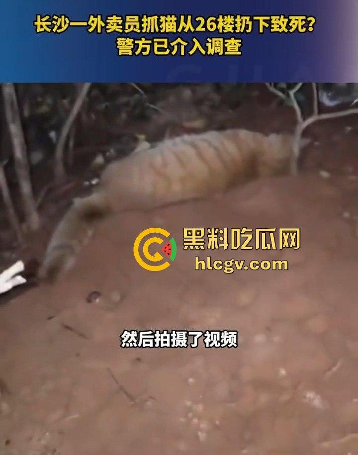 长沙外卖员丧心病狂虐猫!抓猫从26楼扔下当场摔死!