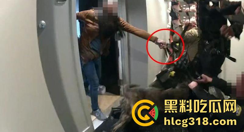 出国后都会变疯么?华裔女博士【李燕】,因不交物业费持刀和警察对峙,被清空弹夹当场射杀!