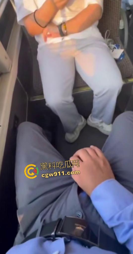 公交车惊现变态!露鸟大神对眼镜妹亮巨屌,她假装看手机实则偷录淫视频,晚上自慰有素材咯!