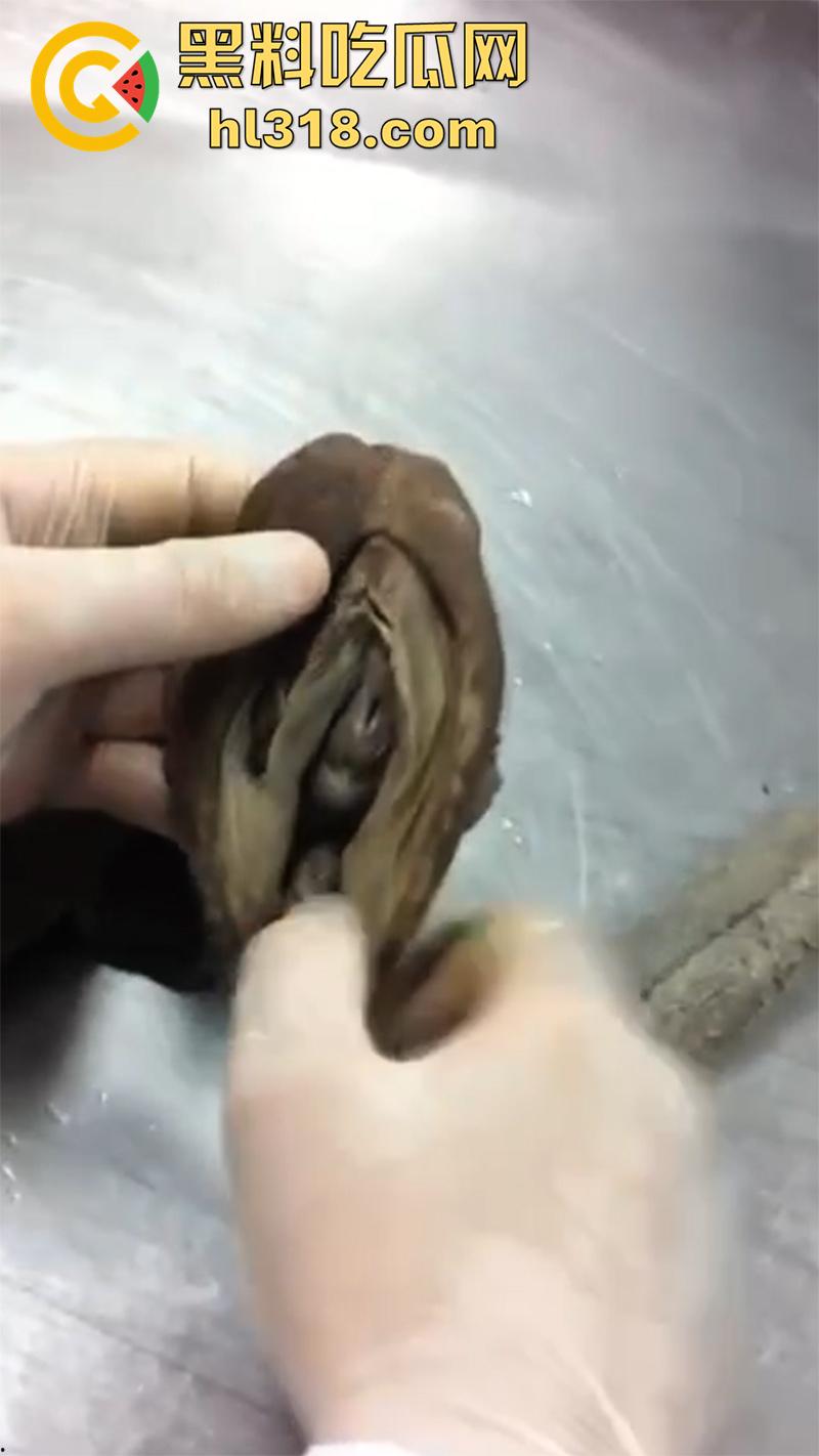 真实西藏密宗法器“肉莲花”，少女被108罗汉轮奸后，五毒侵蚀九蒸九炼，活体切割才可肉莲大成！