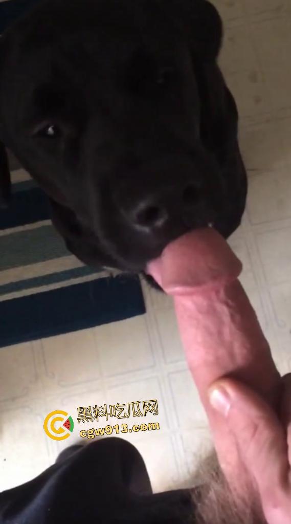 外国猛男与黑狗上演人兽大戏,叫自家黑母狗给自己口交舔鸡巴,还想撸管射精喂狗,这人狗情未了啊!