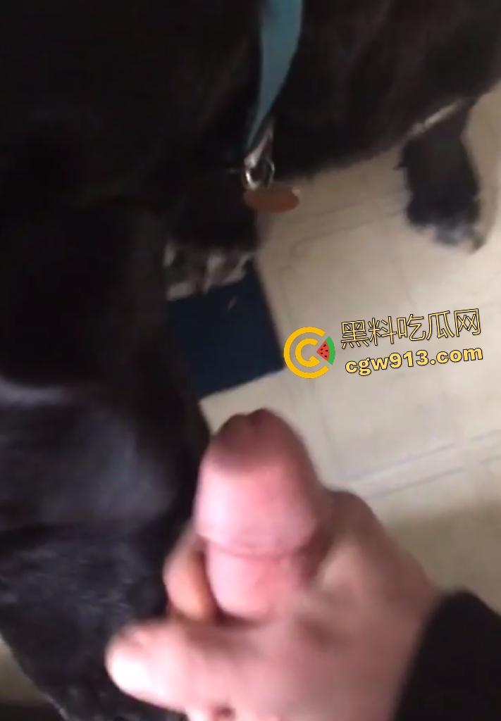 外国猛男与黑狗上演人兽大戏,叫自家黑母狗给自己口交舔鸡巴,还想撸管射精喂狗,这人狗情未了啊!