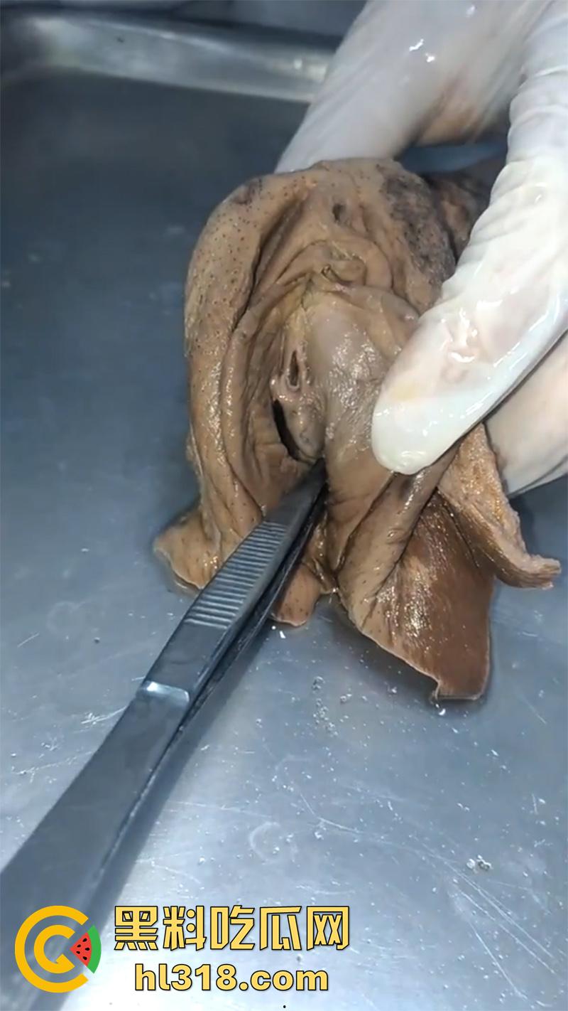 真实西藏密宗法器“肉莲花”,少女被108罗汉轮奸后,五毒侵蚀九蒸九炼,活体切割才可肉莲大成!