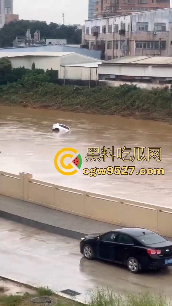 东莞一女司机开车掉河里,车辆像脱缰野马般直冲河中,送医院抢救无效死亡!