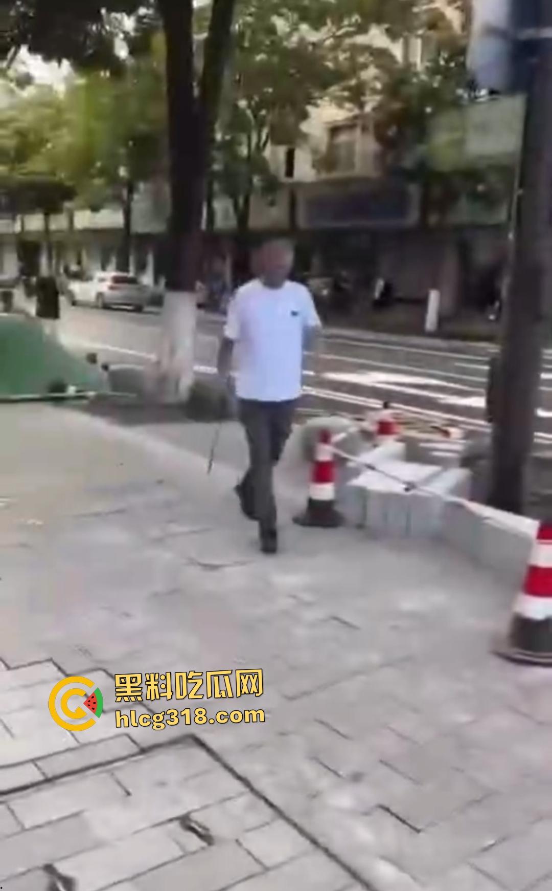 嘉兴斜西街安乐路口四人无故暴打路人!菜刀镰刀梯子狂殴,受害者倒地不起!