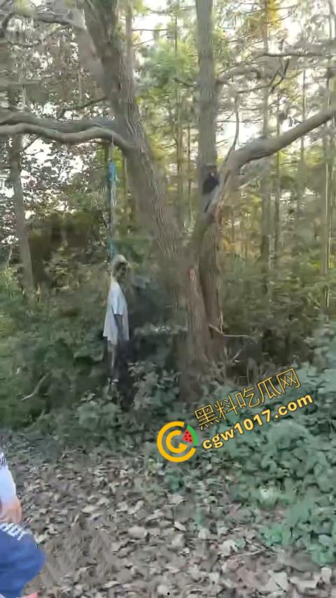 四明山中骑行,摩友巧遇恐怖干尸,惊恐报警,警调挖机移尸,骇人现场,让人看的心跳加速!