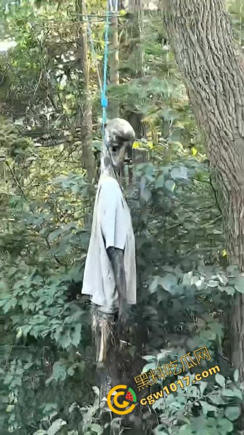 四明山中骑行,摩友巧遇恐怖干尸,惊恐报警,警调挖机移尸,骇人现场,让人看的心跳加速!