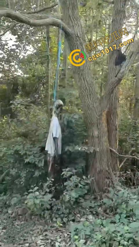 四明山中骑行,摩友巧遇恐怖干尸,惊恐报警,警调挖机移尸,骇人现场,让人看的心跳加速!