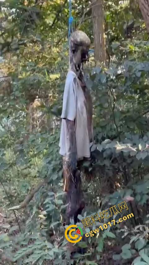 四明山中骑行,摩友巧遇恐怖干尸,惊恐报警,警调挖机移尸,骇人现场,让人看的心跳加速!