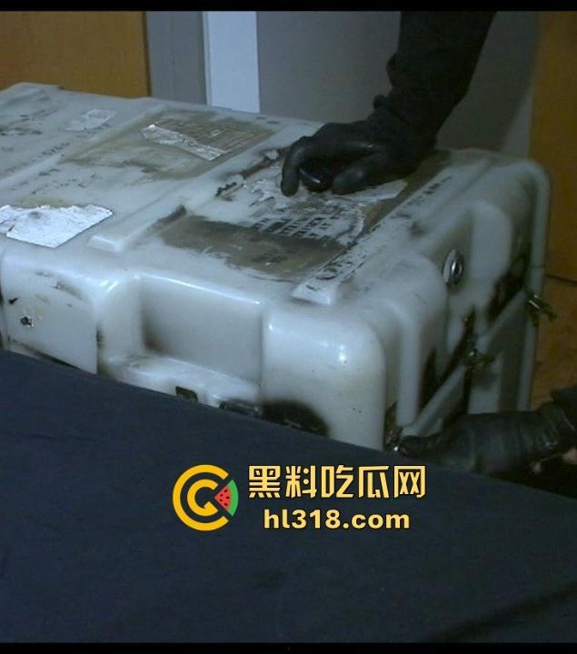 欧美重口味调教!插入充气式肛塞,菊花塞入电击遥控跳蛋,塞进行李箱,运输到下一个调教地点!