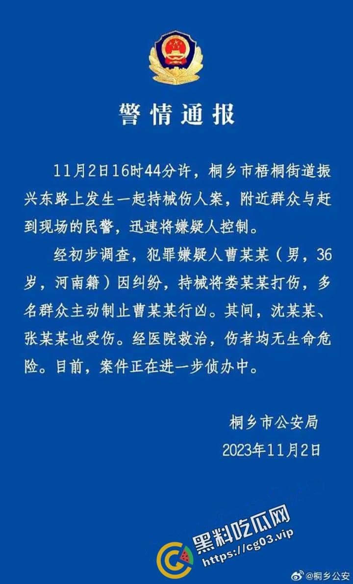 桐乡 男子因纠纷行凶 用榔头猛烈锤击美女律师头部 当场被制服