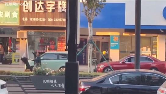 桐乡 男子因纠纷行凶 用榔头猛烈锤击美女律师头部 当场被制服