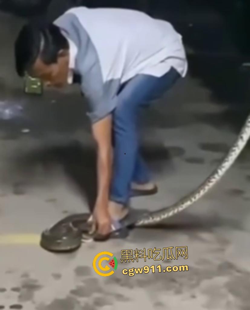 印度作死狂人闲蛋疼踩蟒蛇遭反杀！巨蟒一口咬住小腿死缠不放，发觉人太大吃不下灰溜溜逃窜！