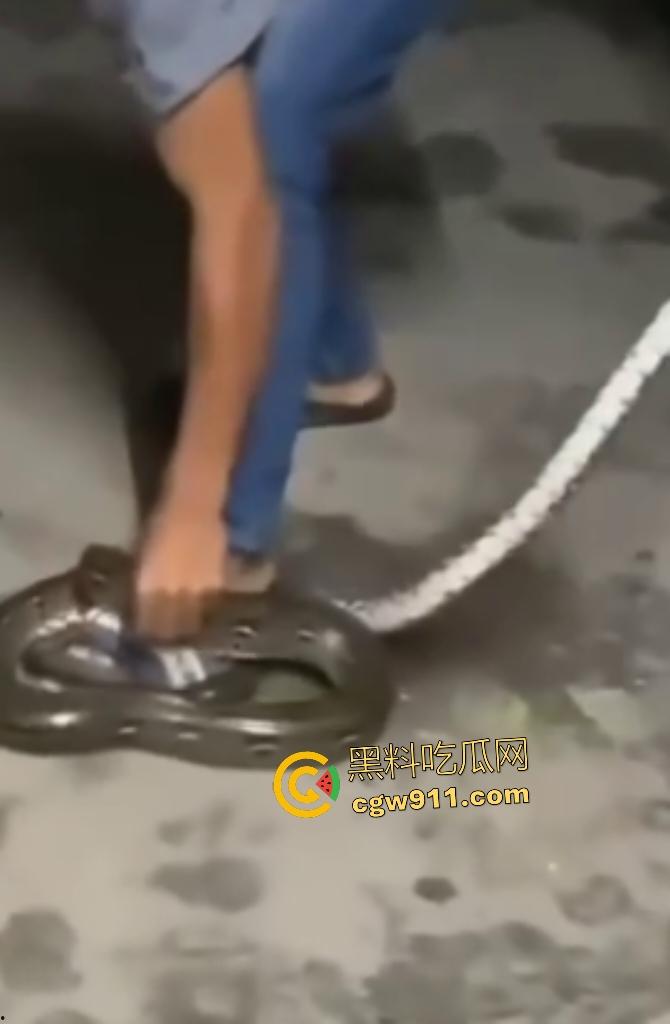 印度作死狂人闲蛋疼踩蟒蛇遭反杀!巨蟒一口咬住小腿死缠不放,发觉人太大吃不下灰溜溜逃窜!