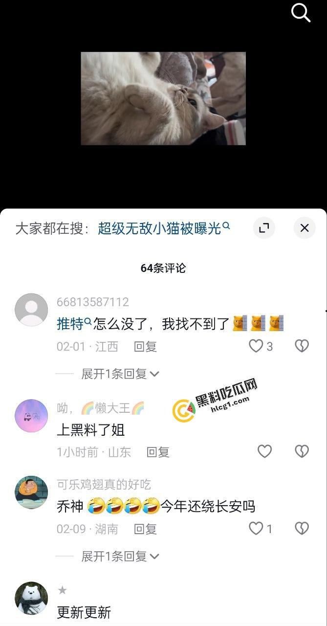 微博身材高挑的反差网红 超级无敌小猫 网上钓鱼 线下和金主爸爸约炮 视频流出