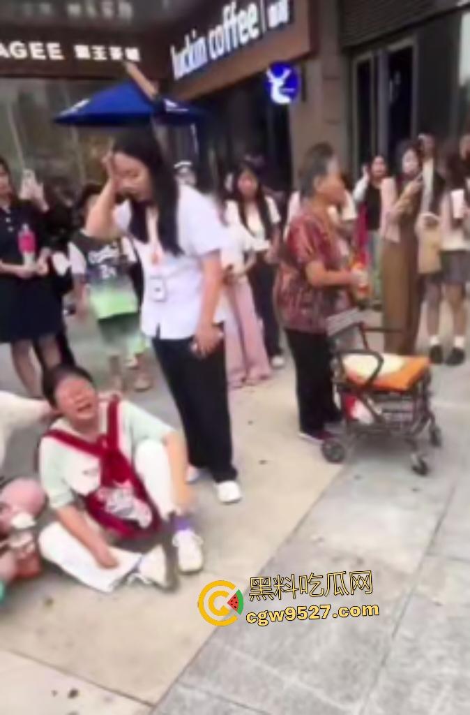 河北麦当劳门口集美发癫,对着大爷拍照,大爷拉了一把说别拍我,然后坐地上撒波打滚,真是泼妇啊!