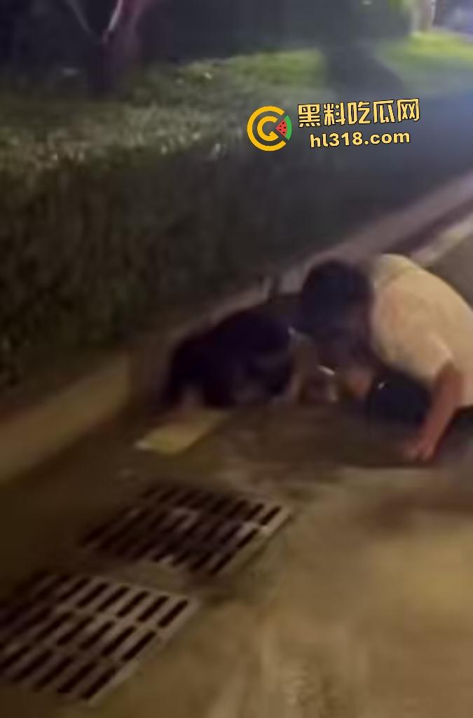 河南一女友出轨在马路边被男友狂扇巴掌,质问你凭什么把逼给他?还扒裤当场羞辱女友!