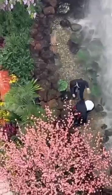 西安赛格跳楼事件 一女子从赛格 7 层坠入负二层 疑似与老公吵架一时想不开