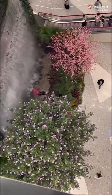 西安赛格跳楼事件 一女子从赛格 7 层坠入负二层 疑似与老公吵架一时想不开