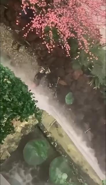 西安赛格跳楼事件 一女子从赛格 7 层坠入负二层 疑似与老公吵架一时想不开