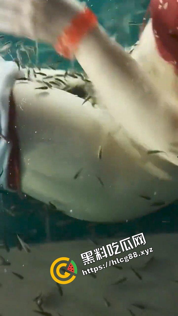 小蝌蚪找妈妈猎奇调教!将骚鸡少妇丢进池塘喂小鱼,发臭骚逼吸引蝌蚪钻逼与卵细胞结合!