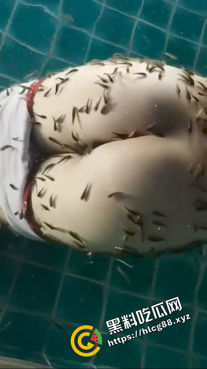 小蝌蚪找妈妈猎奇调教!将骚鸡少妇丢进池塘喂小鱼,发臭骚逼吸引蝌蚪钻逼与卵细胞结合!