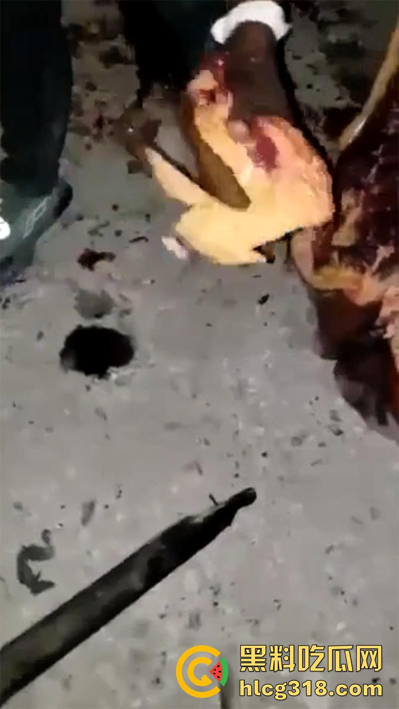 非洲大奶黑妹被砍断双手,棍棒砸扁头杀害后,被一群男子当场分尸割肉,还有人拿棍捅逼,真变态啊!