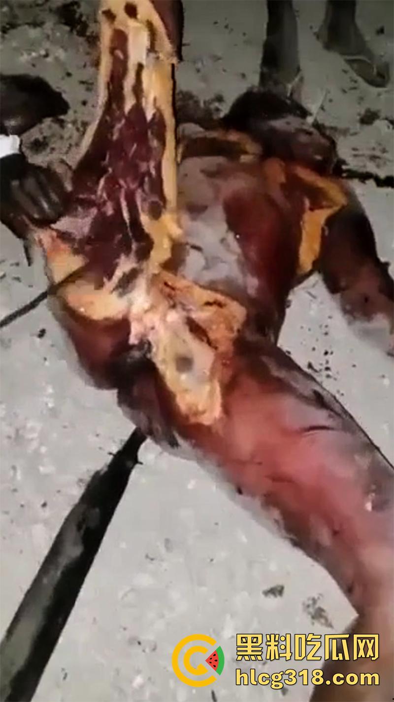 非洲大奶黑妹被砍断双手,棍棒砸扁头杀害后,被一群男子当场分尸割肉,还有人拿棍捅逼,真变态啊!