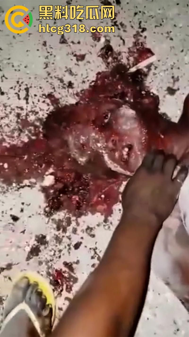 非洲大奶黑妹被砍断双手,棍棒砸扁头杀害后,被一群男子当场分尸割肉,还有人拿棍捅逼,真变态啊!